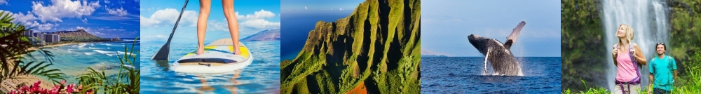 hawaii-dp hawaii-dp